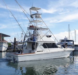 Power Equipment Bounty Hunter best