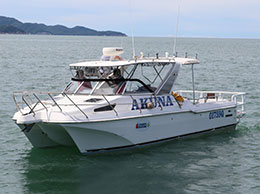 akuna_tile_260x194