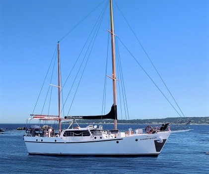 MV Sydneysider 1