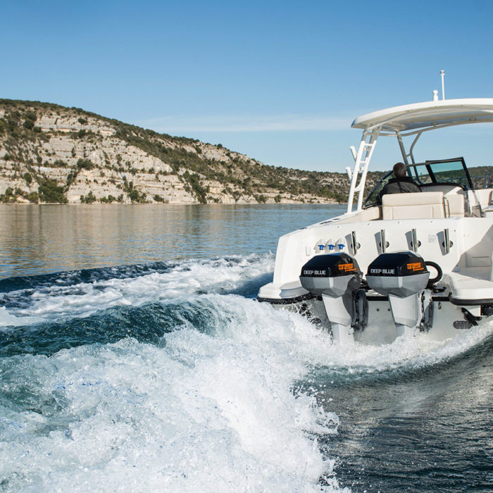 Power Equipment Marine Engine torqeedo deep blue 29 sml