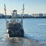 power profile she bimie trawler boat with yanmar engine 3