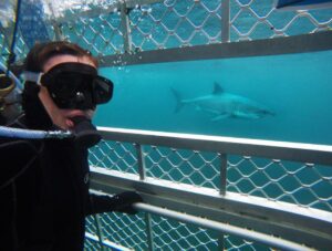 Shark experience